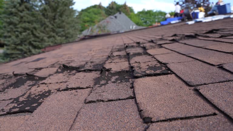 Best Green or Eco-Friendly Roofing Solutions  in Ruston, LA