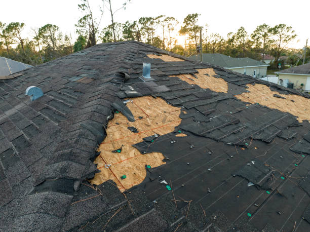 Best Solar Panel Roofing Installation  in Ruston, LA